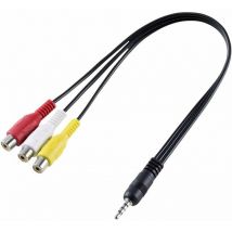 Speaka Professional - Adaptateur audio, vidéo SP-8433716 av [1x Jack mâle 3.5 mm - 3x Cinch-RCA femelle] noir 1 pc(s)