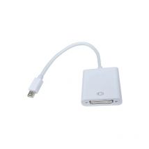 Heden - Adaptateur dvi / Mini DisplayPort Mini dp male /dvi-d femelle Resolution 1080P f
