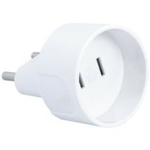 Adaptateur france male / usa femelle
