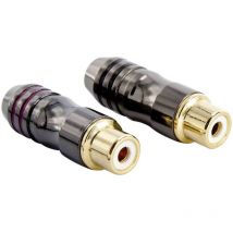 Sinuslive - csf Adaptateur rca X385631