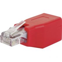Schwaiger RJ45 réseau informatique Adaptateur CAT 6 [1x RJ45 femelle - 1x RJ45 mâle] rouge
