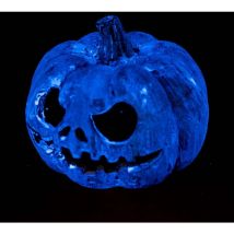 Exo Terra - Calabaza refugio que brilla en la oscuridad