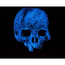 Calavera refugio que brilla en la oscuridad Exo Terra