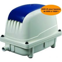 Aérateur Bassin Pompe à air 6000 l/h à Membranes pour bassins de jardin silencieux