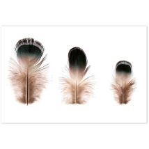 Affiche 3 petites plumes - 60x40cm - made in France