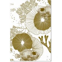 Affiche Corail - 40x60cm - made in France