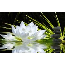 Affiche deco ambiance zen et fleur de lotus - 60x40cm - made in France