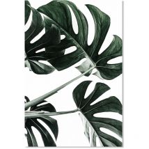 Affiche Feuille de monstera - 40x60cm - made in France