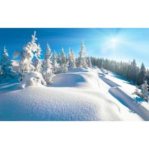 Affiche montagne trace dans la neige fraiche , 60x40cm - made in France