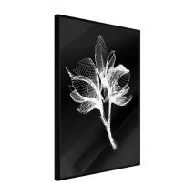 Affiche Murale Encadrée "White Plant" 21 x 30 cm Noir