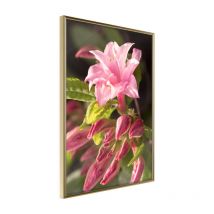 Affiche Murale Encadrée "Garden's Centerpiece" 30 x 42 cm Or