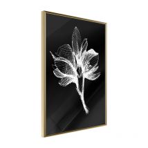 Affiche Murale Encadrée "White Plant" 30 x 42 cm Or