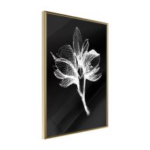 Affiche Murale Encadrée "White Plant" 40 x 60 cm Or