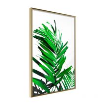 Affiche Murale Encadrée "Emerald Palm" 40 x 60 cm Or