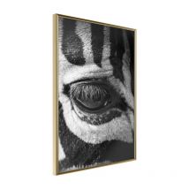 Affiche Murale Encadrée "Zebra Is Watching You" 21 x 30 cm Or