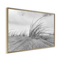 Affiche Murale Encadrée "Seaside Dunes" 45 x 30 cm Or