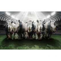 Affiche sport rhinos rugby club - 60x40cm - made in France