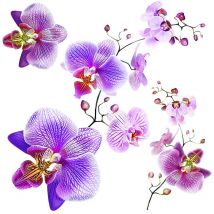 Ag Art - Ag Design ss 3859 Wall Sticker Disney-Autoadesivo, (Set di 3), Multicolor, 30 x 30 cm