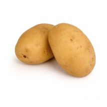 Agata 60 Plants de pomme de terre