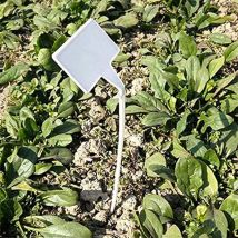 Ahlsen - 50pcs 30CM Étiquette d'extension de jardin Étiquette extérieure Étiquette en plastique etiquette potager etiquette plante, Blanc