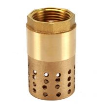Clapet anti-retour pompe 1 pouce - clapet de pied clapet anti retour (1 pouce) - Ahlsen