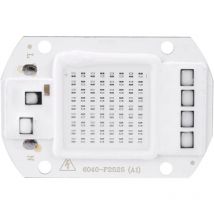 50W led Source de Puce cob Puce Super Lumineux Intensité Lumière Émetteur Composants pour diy Élever la Lumière, Plante Intérieure végétale et Fleur