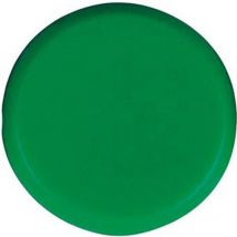 Aimant d'organisation rond vert 30mm Eclipse