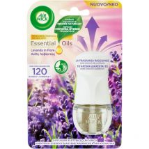 Airwick Kit Diffusore Elettrico di Oli Essenziali Con Fragranza Lavanda 19ml