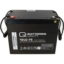 Akku kompatibel E-Mobile und Scooter Proflex 2x 12V 75Ah