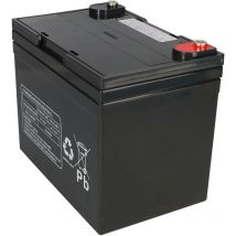 Akku kompatibel Elektro Roller Scooter flash 2000 48V 4x 12V 36Ah agm Blei mp