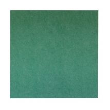 Akustik-wandpaneel Aus Pet-filz - 100x100 Cm - Grün