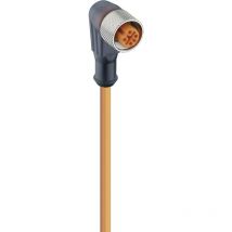 Lumberg Automation - 11437-1 Sensor-/Aktor-Steckverbinder, konfektioniert M12 Buchse, gewinkelt 5.00 m