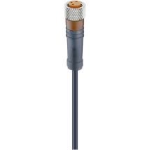 12955-1 Sensor-/Aktor-Steckverbinder, konfektioniert M8 Buchse, gerade 5.00 m Pol - Lumberg Automation
