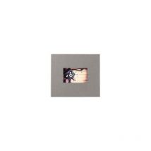 Panodia - Accessoires photo studio album trad 60P 120V gris