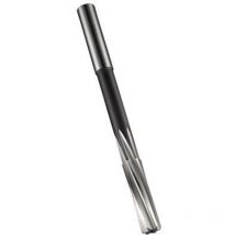 Dormer - Alésoir machine B170 din 212 Form b D.1mm hss-e Brut