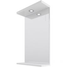 Alexander James - 450mm x 750mm Downlit Vanity Mirror
