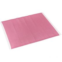 Alfombra de salón para Interior y Exterior de Polipropileno Rosa clásica de 270 x 180 cm -