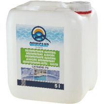 Algicida con accion Floculante. 5 l. quimicamp.