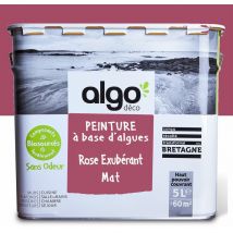 Algo Paint - Peinture écologique Algo - Mat - Rose Exubérant - 5L