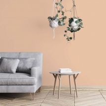 Algo Paint - Peinture écologique Algo - Mat - Orange Radieux - 5L