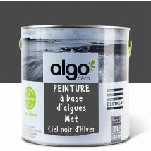 Peinture écologique Algo - Mat - Ciel noir d'hiver - 2L