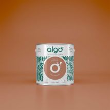 Algo Paint - Peinture écologique Algo - Mat - Marron Pain d'épices - 0.5L