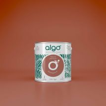 Peinture écologique Algo - Mat - Terracotta Madagascar - 0.5L