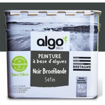 Algo Paint - Peinture écologique Algo - Satin - Noir Brocéliande - 5L
