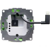 Smart Things - Alimentation encastrable ca/cc s24 l Adapté pour type d'appareil Apple: iPad C603291