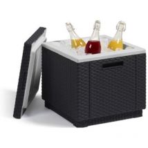 Allibert - Nevera jard keter grafit ice cube 213828