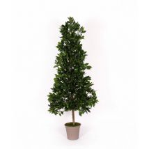 Alloro Seminaturale • Verde • Tower - 210