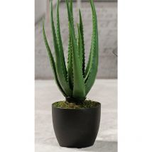 Aloe in vaso per decorazione H.55