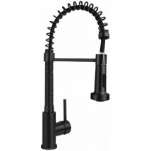 Küchenarmatur mit schwenkbarem Sprühkopf Schwarz matt - Aloni