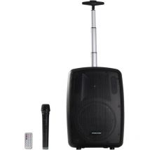 Altavoz Portátil Fonestar Amply-T 100w Bt Fm Usb/microsd Bass Reflex Micrófono Inalámbrico Bat. 2000mah Carro Transporte Trolley